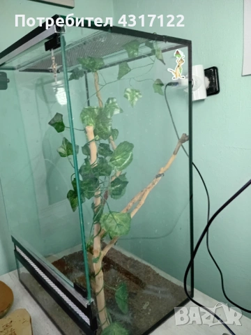 Терариум терариум, снимка 2 - Хамелеон - 53830266