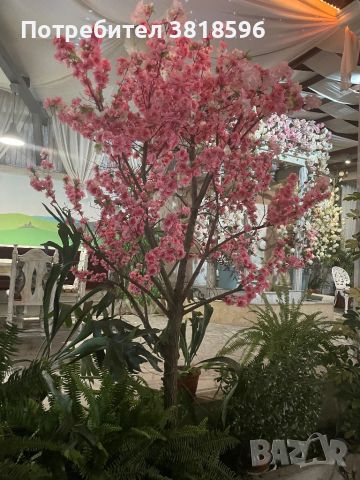Декоративно дърво за интериор на офиси, кафета, ресторанти, хотели и др. Височина - 2,50, снимка 1 - Изкуствени цветя - 45701609