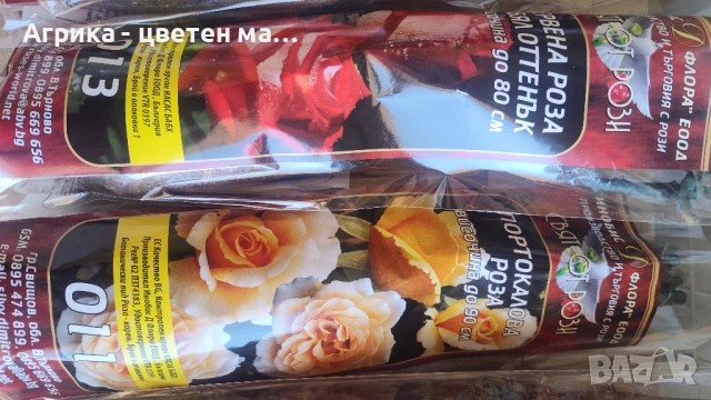 РОЗИ корени НОВО ЗАРЕЖДАНЕ от лицензиран разсадник , снимка 14 - Градински цветя и растения - 42675882