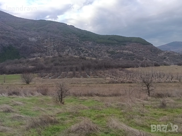 земя Бобошево, снимка 5 - Земеделска земя - 52885055