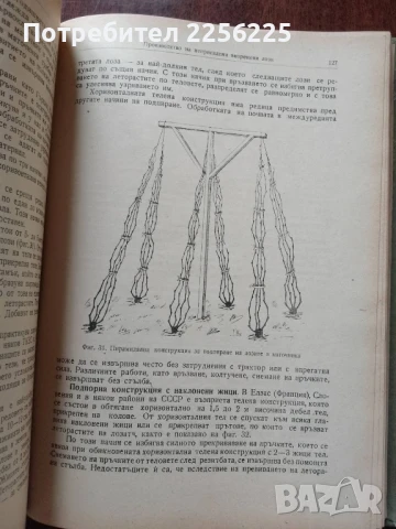 Лозарство, снимка 4 - Специализирана литература - 50611444