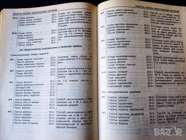 Лекарствени растения - Лекарственные растения в каждом доме и Горските плодове-храна и лечебно средс, снимка 5 - Специализирана литература - 46714682