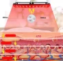 Инфрачервена LED лампа за терапия, снимка 4