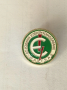 Значка, снимка 1