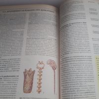 Учебник Биология 9 клас Булвест 2000, снимка 9 - Учебници, учебни тетрадки - 45081442