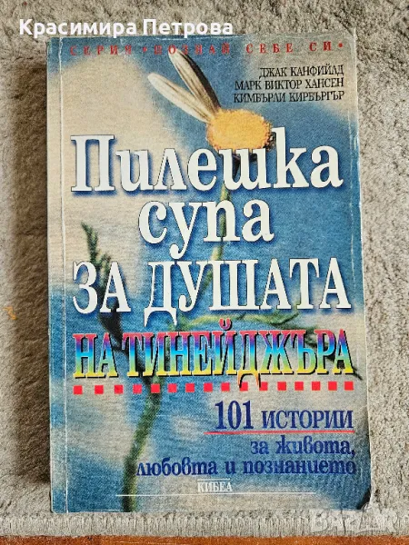 Пилешка супа за душата на тинейджъра, снимка 1