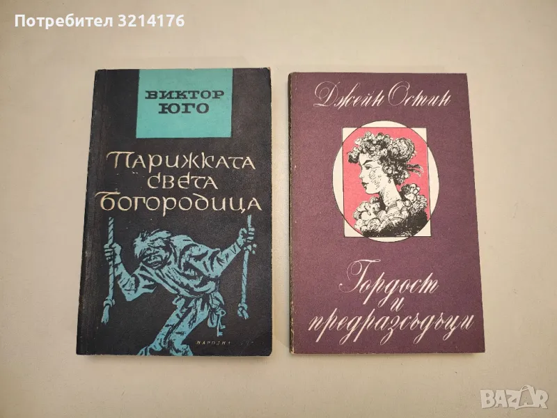 Парижката Света Богородица - Виктор Юго, снимка 1