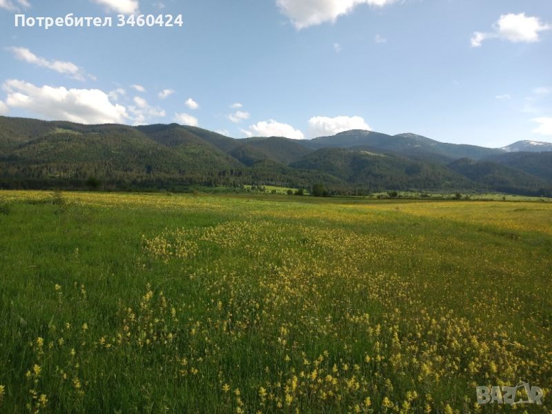 Земя в планински район - село Говедарци, снимка 1