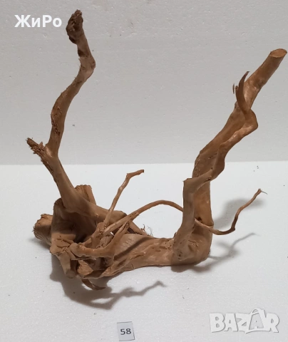 Корен от Азалия /декорация/ 58