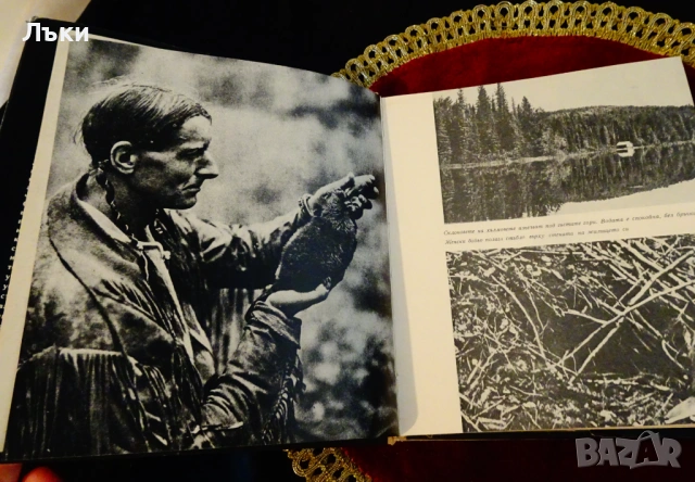 Сивата Сова,Михаил Пришвин. , снимка 3 - Художествена литература - 53134118