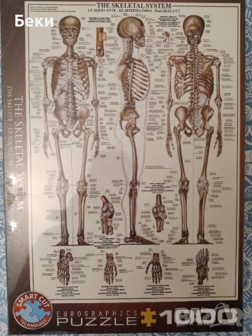Нов Пъзел 1000 части