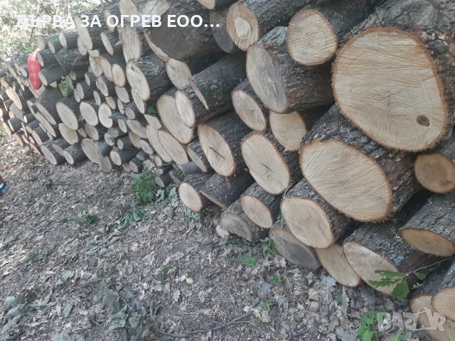 дърва за огрев метровки дъб , снимка 2 - Дърва за огрев - 51316465