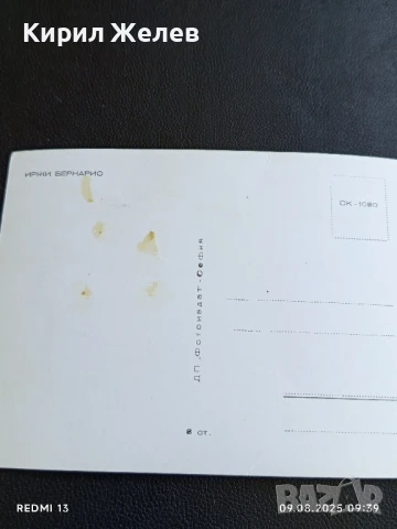 Ретро картичка ИРЖИ БЕРНАРИО АРТИСТ за КОЛЕКЦИЯ ДЕКОРАЦИЯ 27069, снимка 5 - Колекции - 51305519