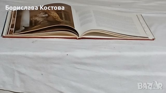 книга за замъците, снимка 6 - Други - 46764950