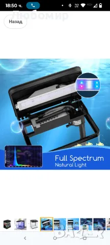 Nobleza - Нано аквариум с аквариум с LED светлини и филтърна система, тропически аквариуми , снимка 11 - Аквариуми - 49784964