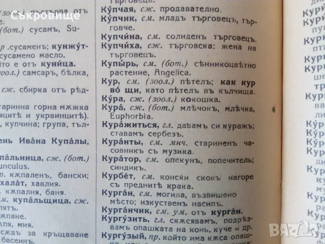 Антикварен Пълен Руско-български речник от 1938 година - съставител Сава Чукалов, снимка 11 - Чуждоезиково обучение, речници - 48011510