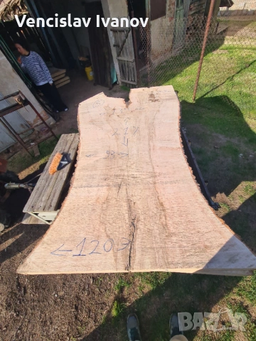 Мокър материал от Ясен, снимка 3 - Дърводелски услуги - 54129121