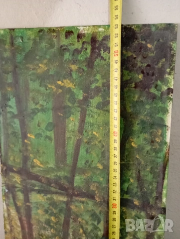 Картина - пейзаж, снимка 2 - Картини - 53752950