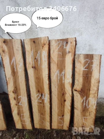 Янове от Бряст и Черница 