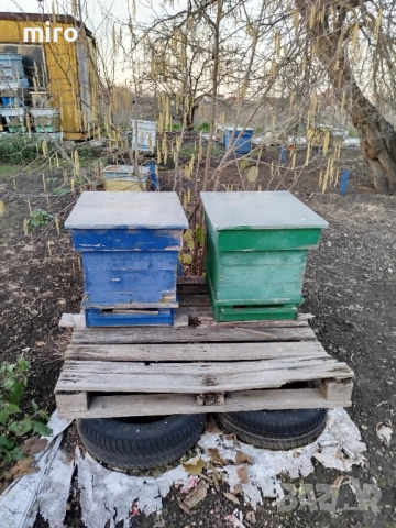 Кошери, снимка 3 - За пчели - 53924928