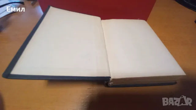 Антикварен "Речник на чуждите думи в българския езикъ", снимка 2 - Специализирана литература - 50036877