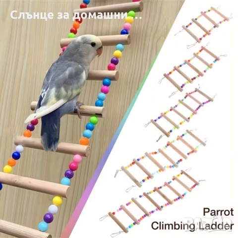 Стълба за катерене на птици., снимка 3 - За птици - 52425910