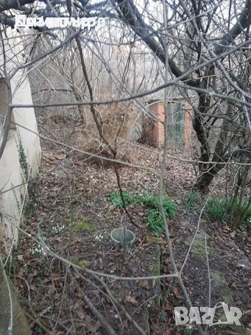 Парцел със стара постройка в с. Оряхово, общ. Любимец, снимка 2 - Парцели - 52052897