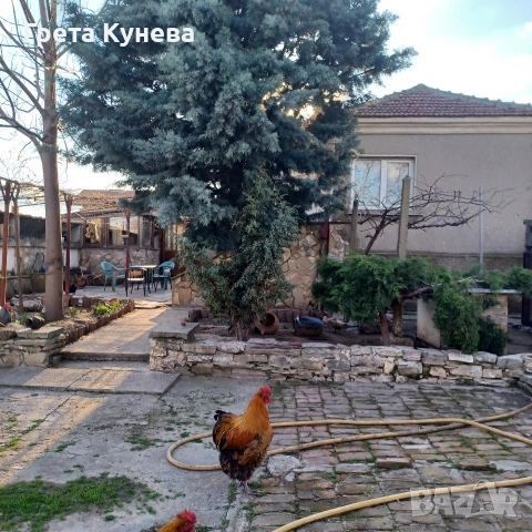 Къща с двор в Мечкарево, обл. Сливен, снимка 13 - Къщи - 53807889