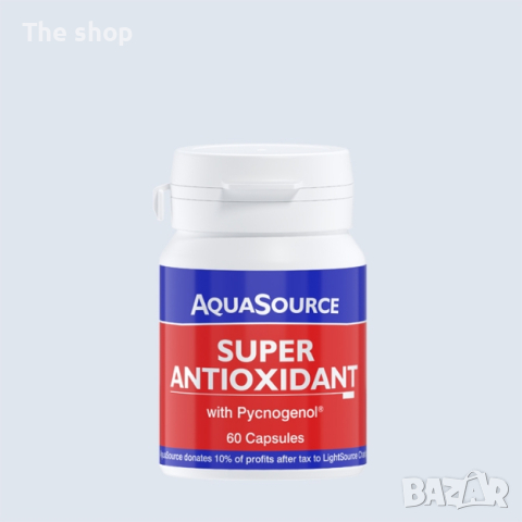 Супер Антиоксидант с Pycnogenol® (010)