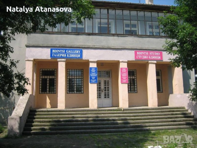 Парцел за продажба в Бдинци, Добрич, снимка 10 - Парцели - 53635006