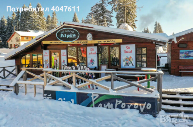 Ски училище Алпин – научи се от най-добрите, снимка 1 - Зимни спортове - 45009167