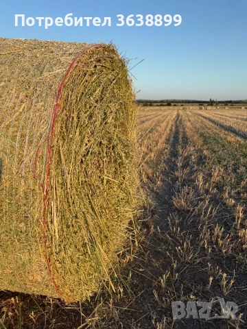 Рулонни бали люцерна,ливадно сено,овес,просо!, снимка 6 - За селскостопански - 50854833