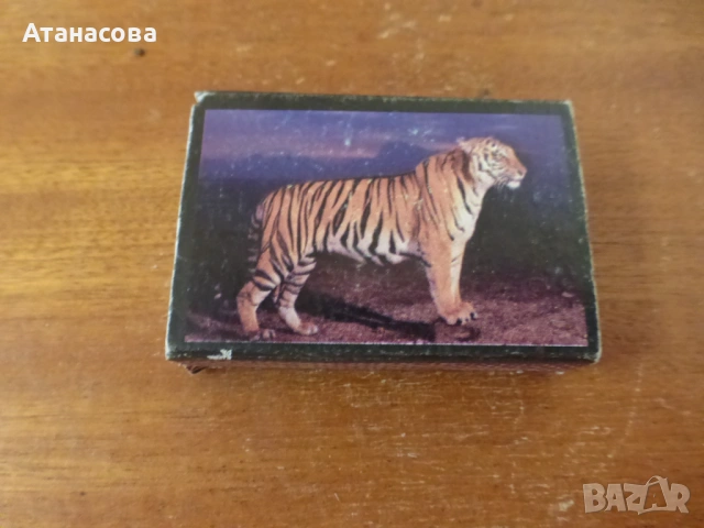 Кибрит с Тигър