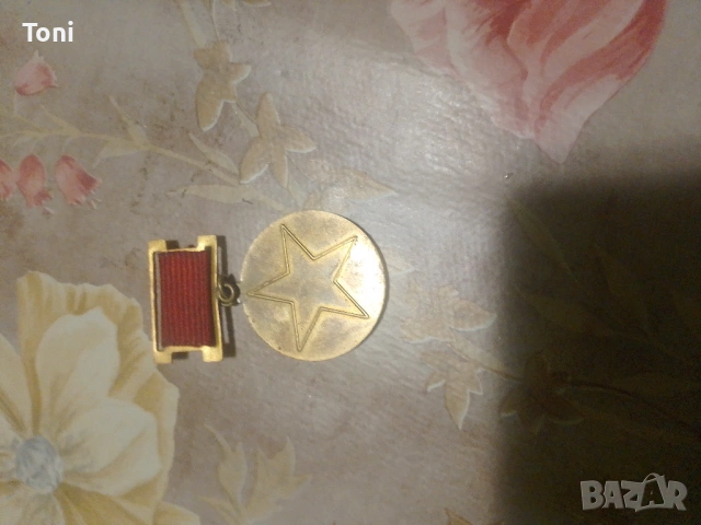 Значка 35 години НШЗО Христо Ботев , снимка 2 - Колекции - 53311130