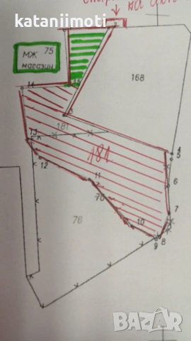 Парцел в с. Лопушна, снимка 2 - Парцели - 50822417