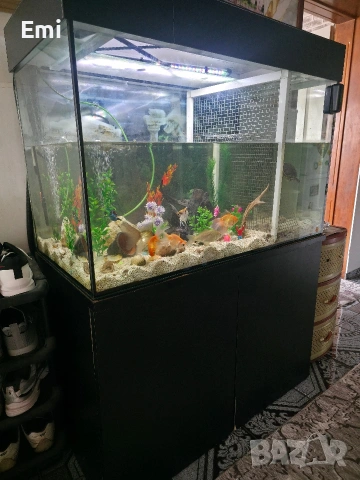 Аквариум със шкаф 400л.