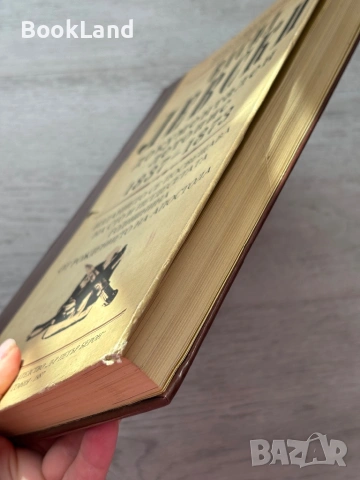 Васил Левски| Документален летопис 1837-1873, снимка 3 - Други - 53200121