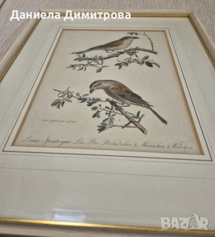Три рамкирани принта с красиви птици, снимка 7 - Картини - 52466840