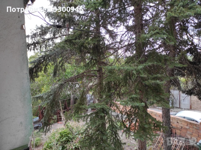 Къща в подножието на Родопите , снимка 2 - Къщи - 54013195