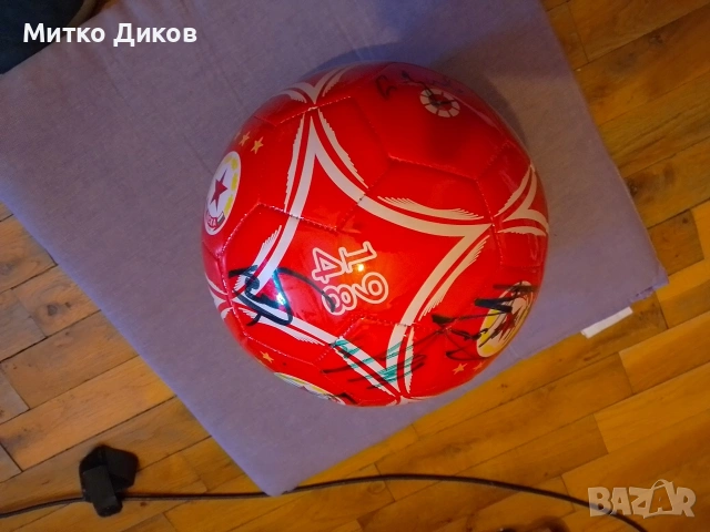 ЦСКА София 2014 г. колекционерска топка с автографи, снимка 9 - Футбол - 53902317