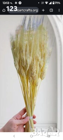 житен клас различни цветове , снимка 2 - Изкуствени цветя - 51974919