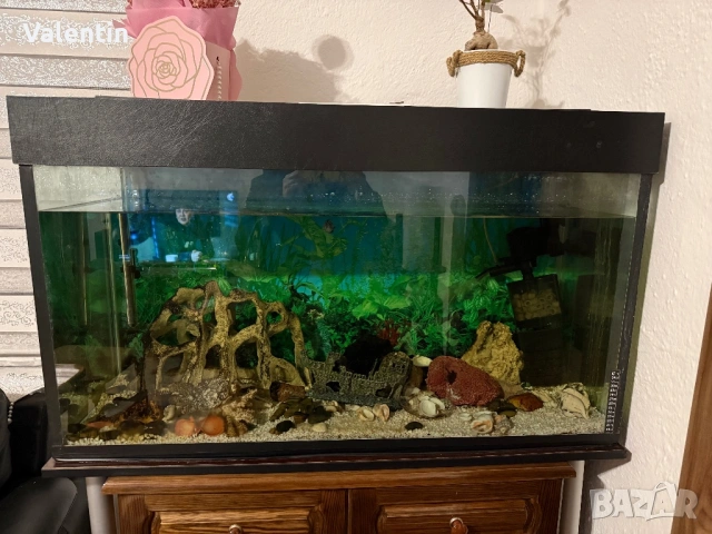 Аквариум 260л , снимка 2 - Аквариуми - 53180747
