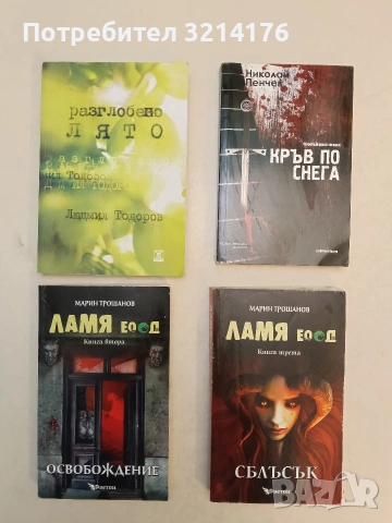 Разглобено лято - Людмил Тодоров (2014)