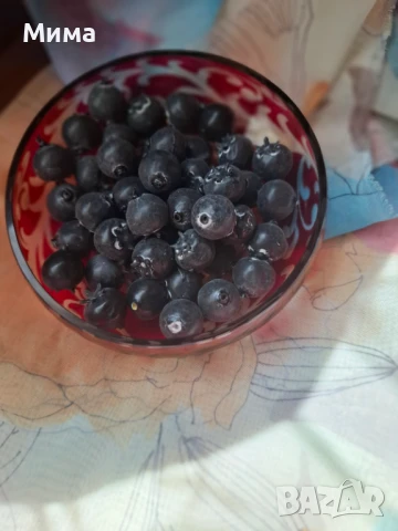 Изкуствени резенчета плодове, снимка 8 - Декорация за дома - 51359601