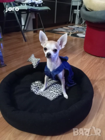 Креватче за кучета и котки, снимка 8 - За кучета - 53249768