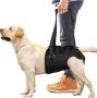 ChalkLit колан за повдигане на кучета, за поддържане за задните крака на ранени и с увреждания, М