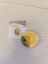 Възпоменателни монети, снимка 8