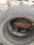 Гуми за трактори , снимка 5