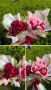 Букет от сатенени рози, снимка 2
