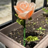 Букет от вечни рози , снимка 5 - Изкуствени цветя - 45304823